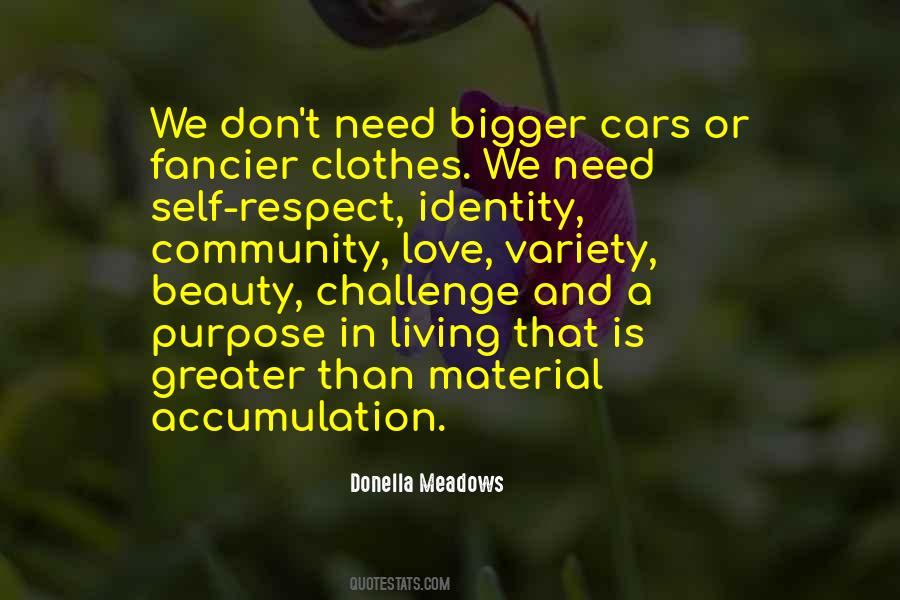 Donella Meadows Quotes #83313