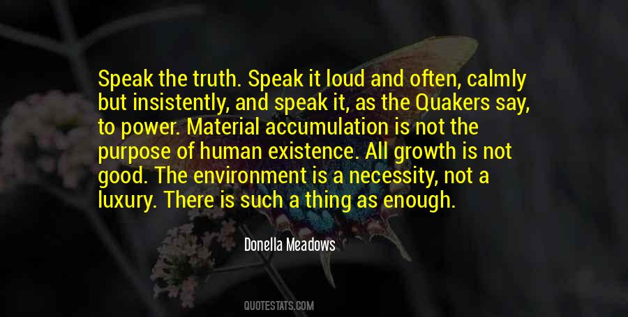 Donella Meadows Quotes #900735