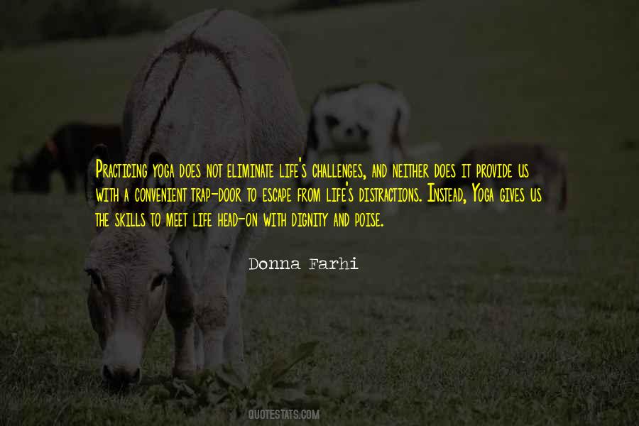 Donna Farhi Quotes #1163402
