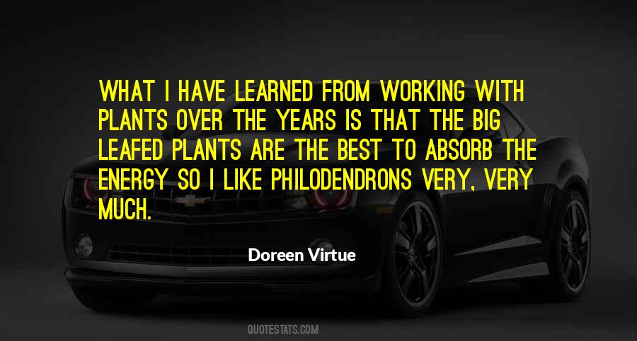 Doreen Virtue Quotes #854813