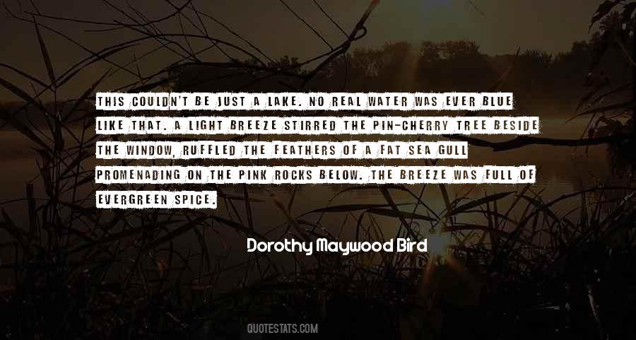 Dorothy Maywood Bird Quotes #18731