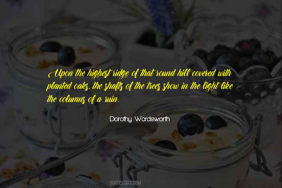 Dorothy Wordsworth Quotes #118993