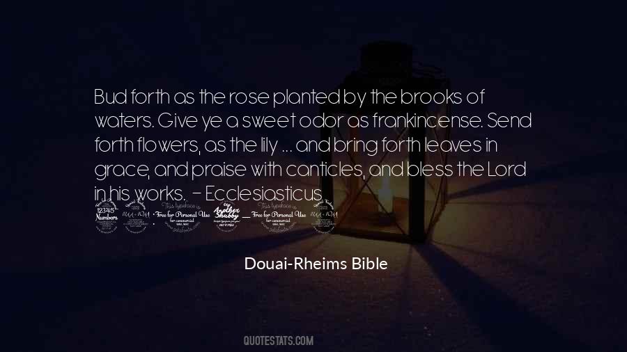 Douai-Rheims Bible Quotes #1385393