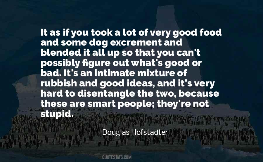 Douglas Hofstadter Quotes #1336847