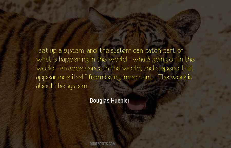 Douglas Huebler Quotes #1414246