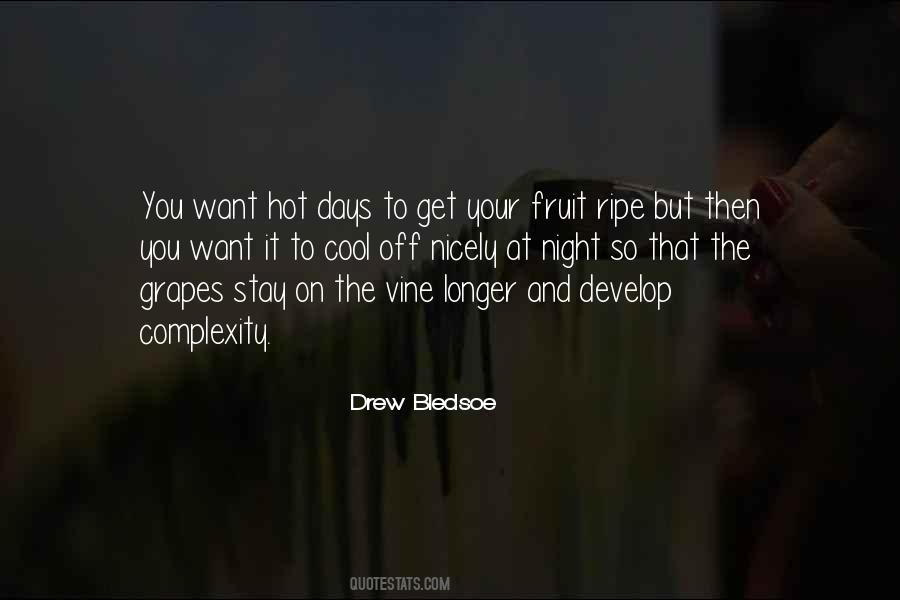 Drew Bledsoe Quotes #1238579