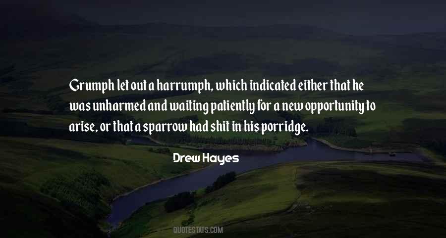 Drew Hayes Quotes #271579