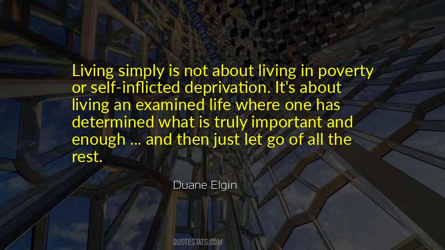 Duane Elgin Quotes #921305