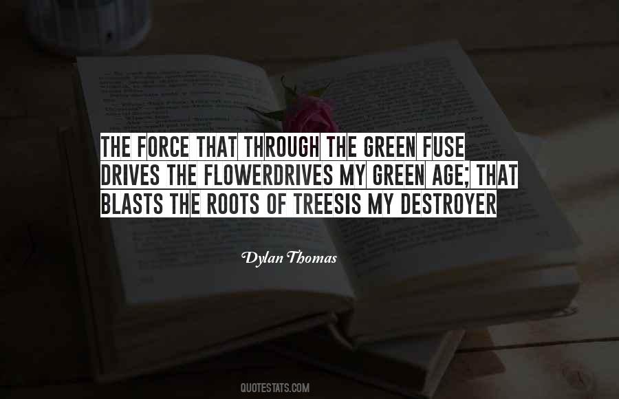 Dylan Thomas Quotes #78951