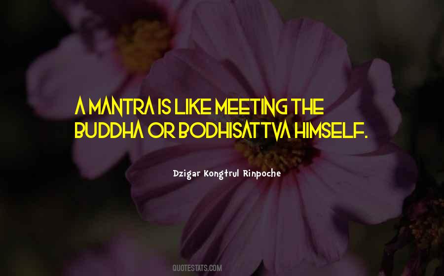 Dzigar Kongtrul Rinpoche Quotes #1088241