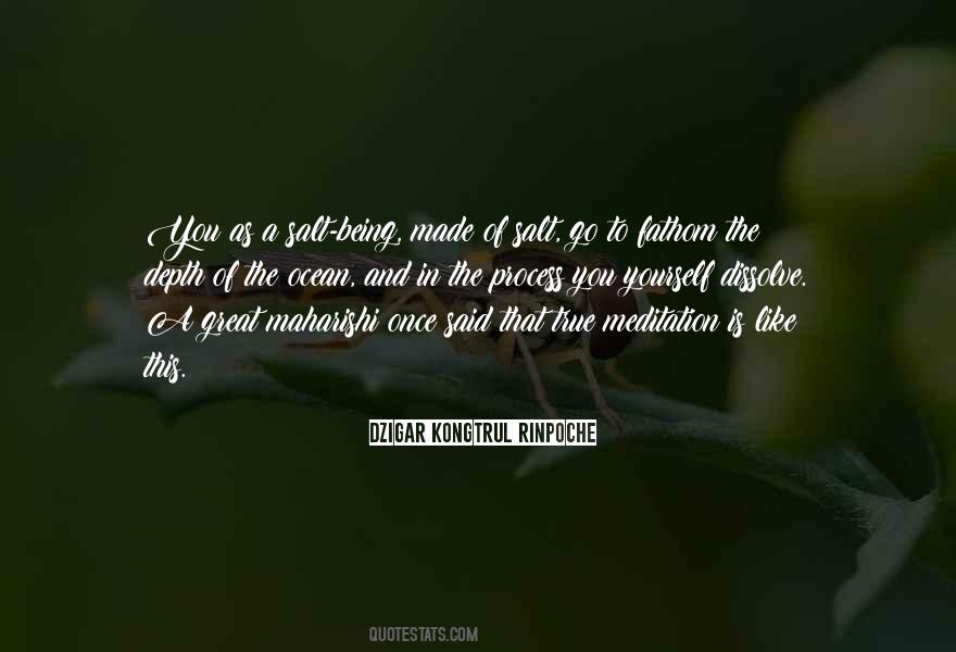 Dzigar Kongtrul Rinpoche Quotes #55736