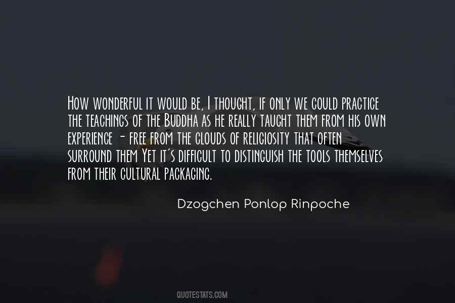 Dzogchen Ponlop Rinpoche Quotes #797074