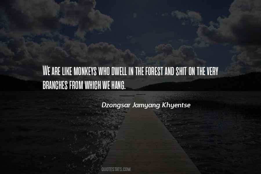 Dzongsar Jamyang Khyentse Quotes #612829