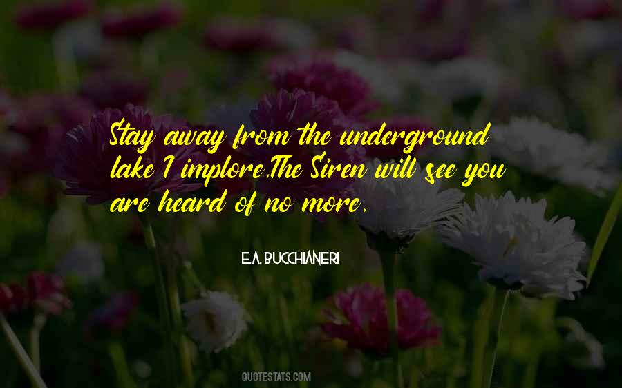 E.A. Bucchianeri Quotes #1139479