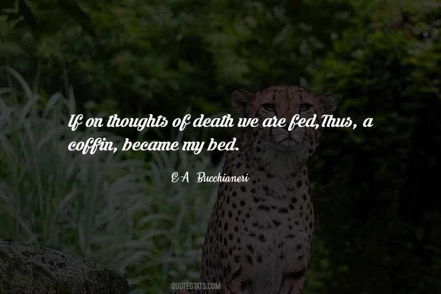 E.A. Bucchianeri Quotes #1630226