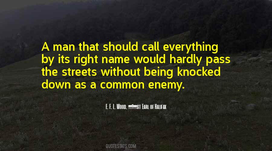 E. F. L. Wood, 1st Earl Of Halifax Quotes #1669569 E. F. L. Wood, 1st Earl Of Halifax Quotes #1669569