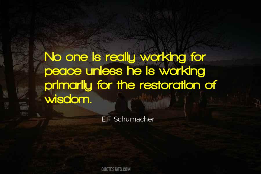 E.F. Schumacher Quotes #1476491