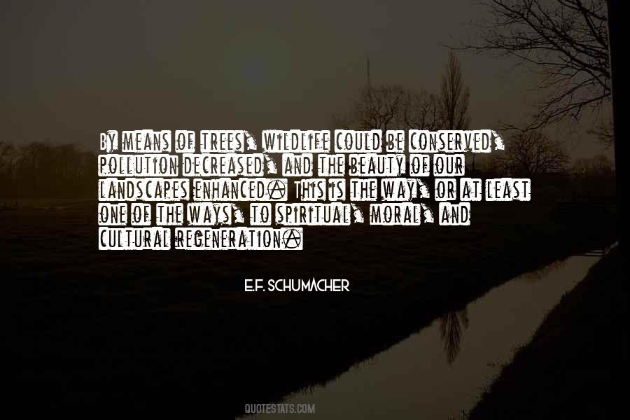 E.F. Schumacher Quotes #326976