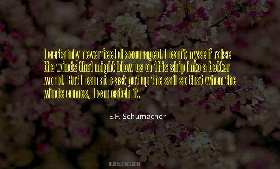 E.F. Schumacher Quotes #343981