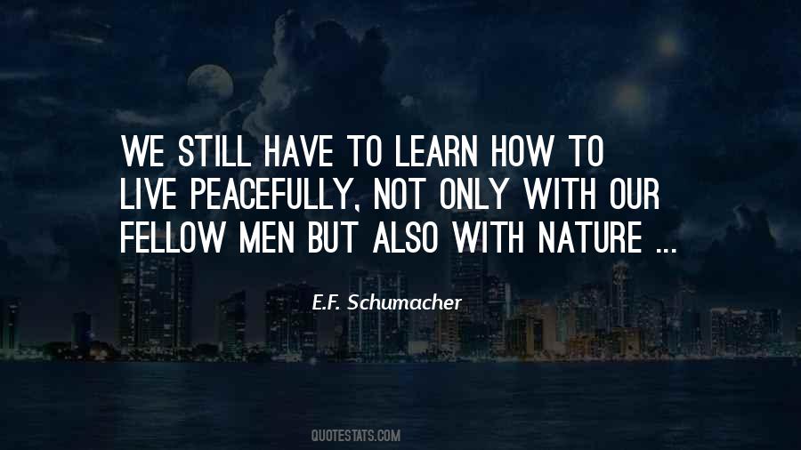 E.F. Schumacher Quotes #844164