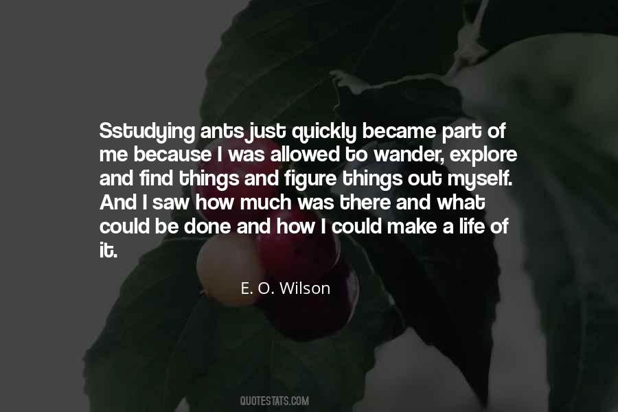 E. O. Wilson Quotes #1577691