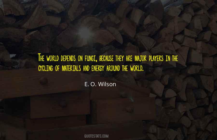 E. O. Wilson Quotes #95268