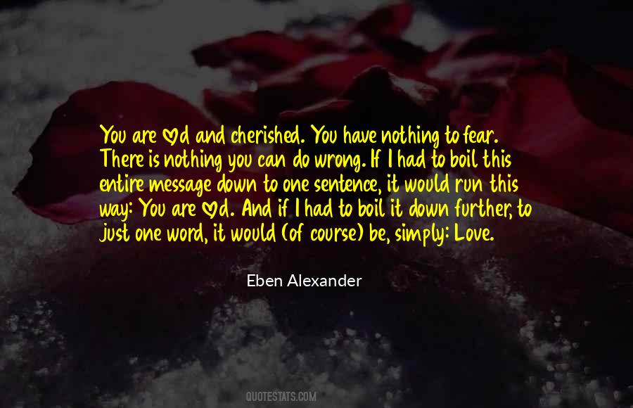 Eben Alexander Quotes #1003757