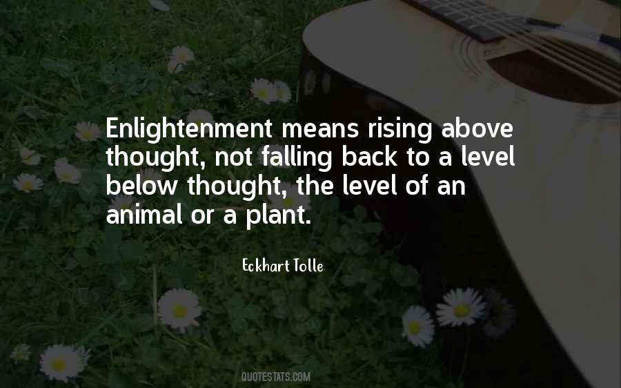 Eckhart Tolle Quotes #183279