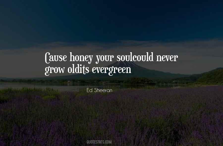 Ed Sheeran Quotes #890321