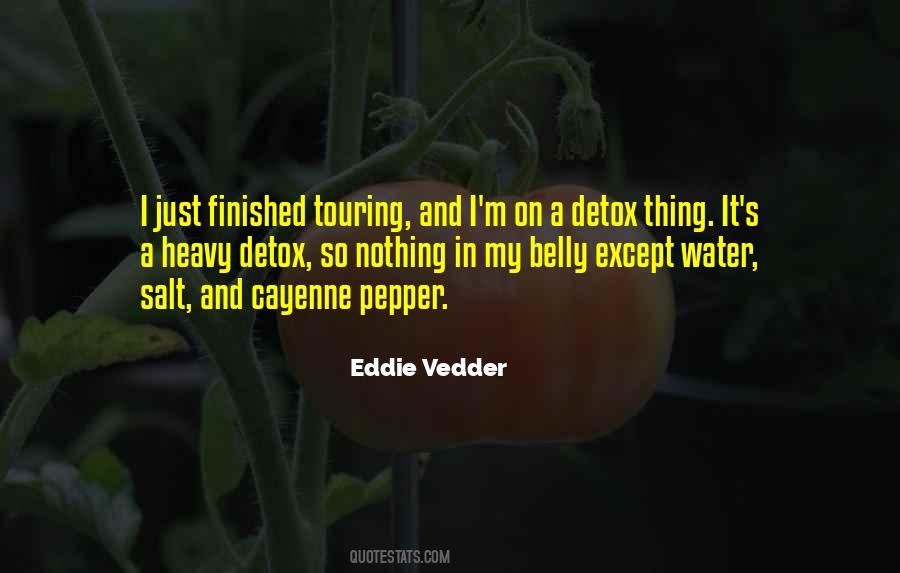 Eddie Vedder Quotes #1851883