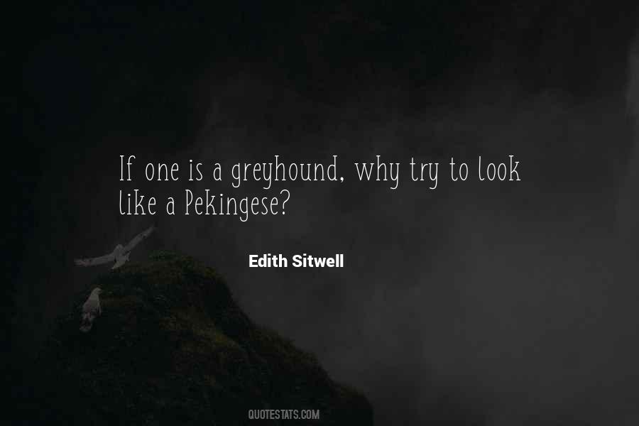 Edith Sitwell Quotes #320541