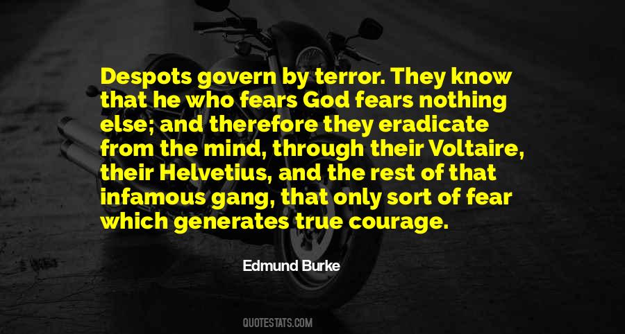Edmund Burke Quotes #1421475