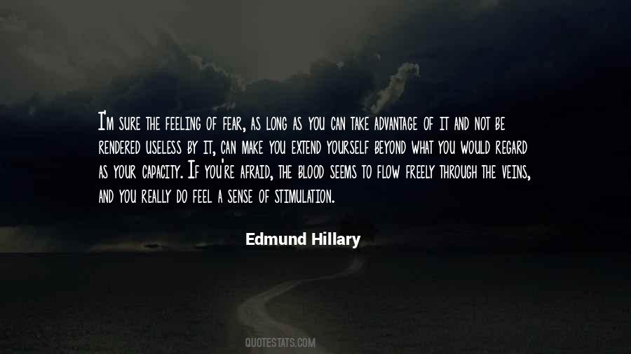 Edmund Hillary Quotes #1419821