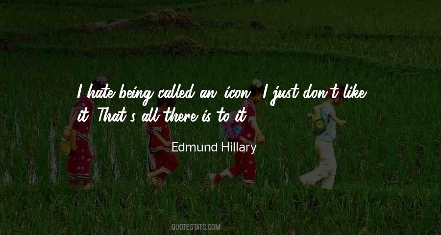 Edmund Hillary Quotes #218371