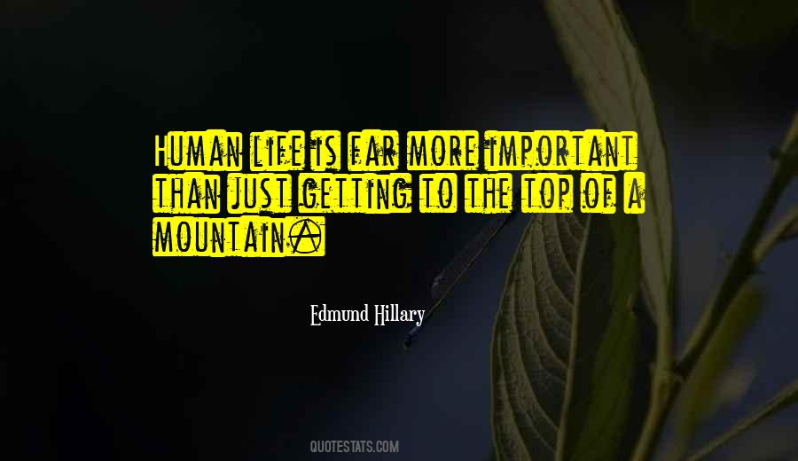 Edmund Hillary Quotes #509656