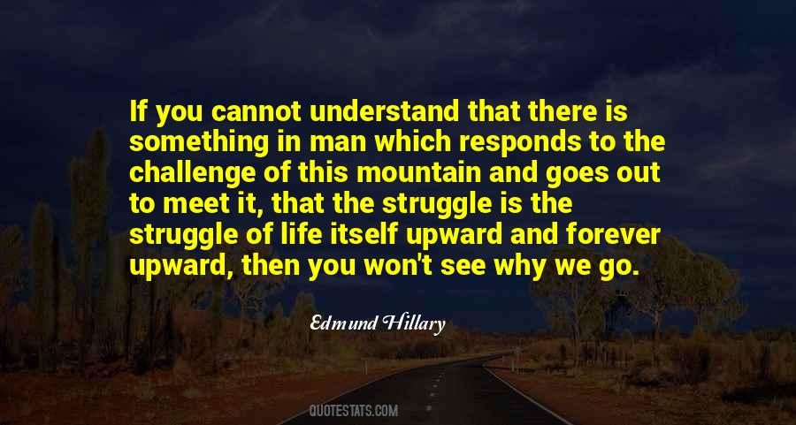 Edmund Hillary Quotes #740536
