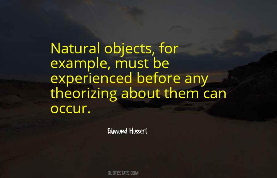 Edmund Husserl Quotes #647375