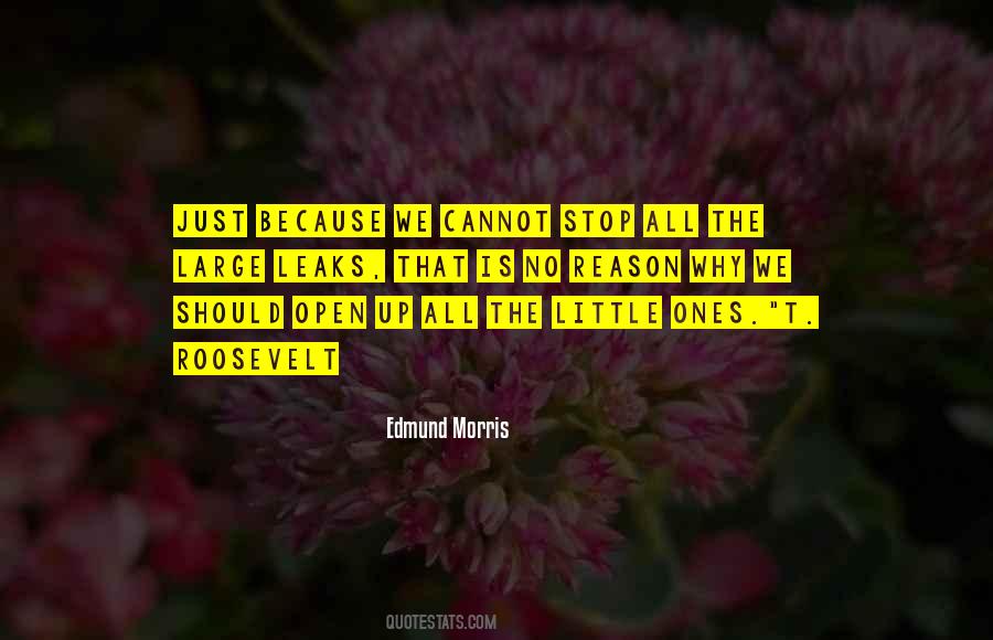 Edmund Morris Quotes #229614