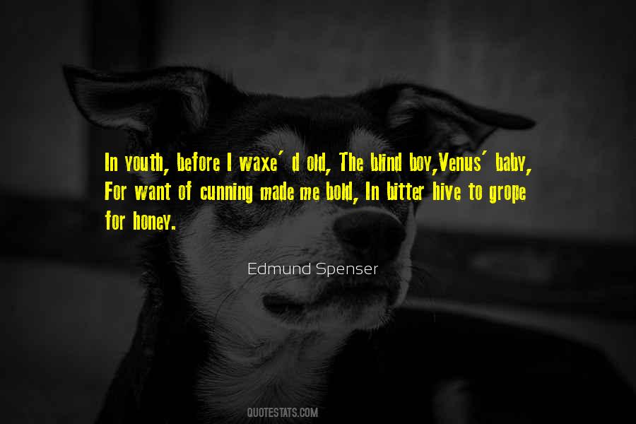 Edmund Spenser Quotes #1579082
