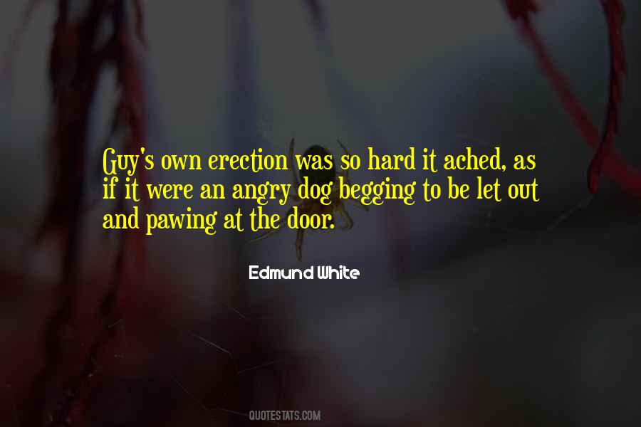 Edmund White Quotes #1602406