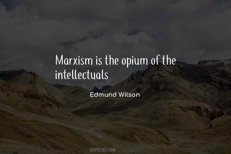 Edmund Wilson Quotes #1791174