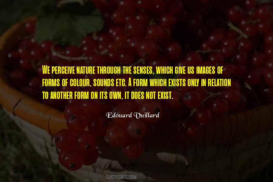 Edouard Vuillard Quotes #416069