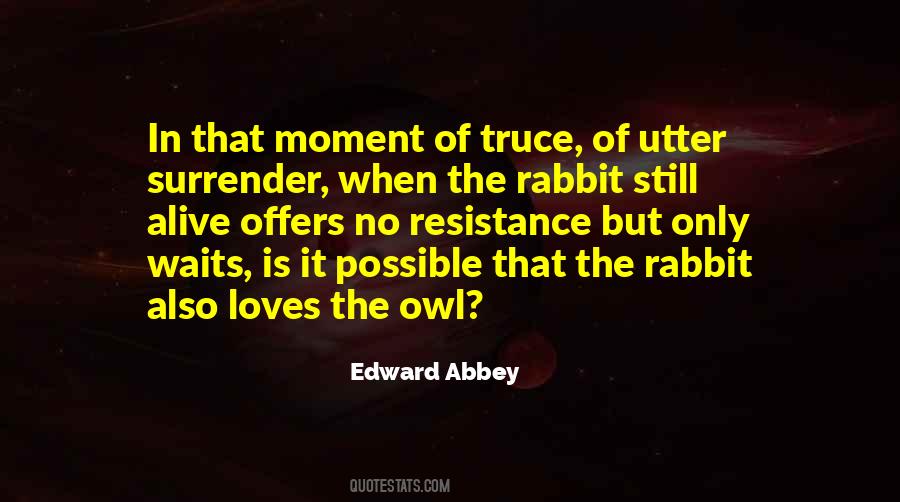 Edward Abbey Quotes #129334