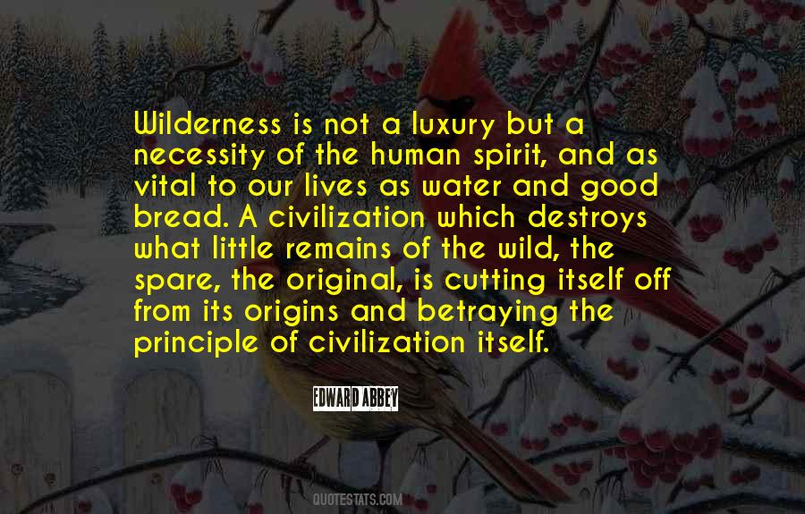 Edward Abbey Quotes #66850