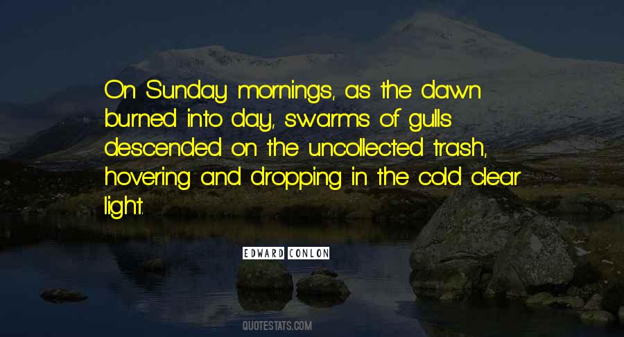 Edward Conlon Quotes #156968