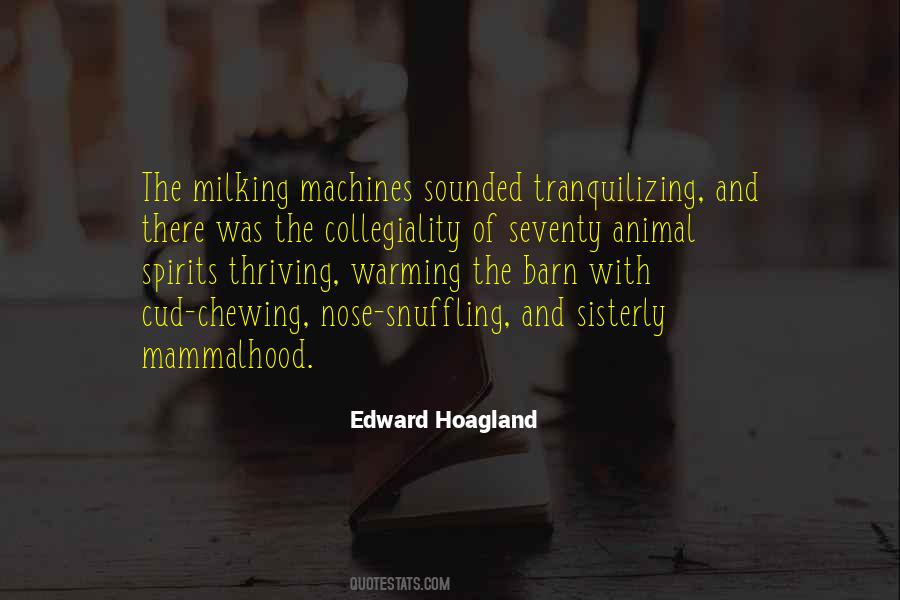 Edward Hoagland Quotes #1810520