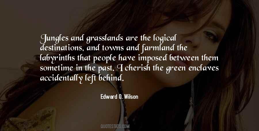 Edward O. Wilson Quotes #1772111