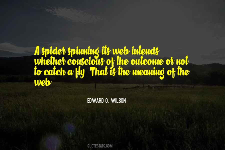 Edward O. Wilson Quotes #1853700