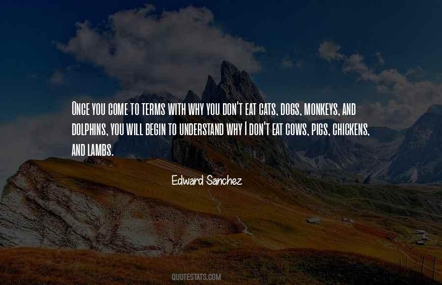 Edward Sanchez Quotes #421234