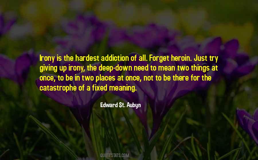 Edward St. Aubyn Quotes #1365278